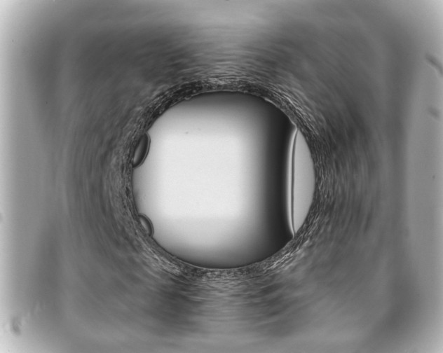 X0000094440817200711081023