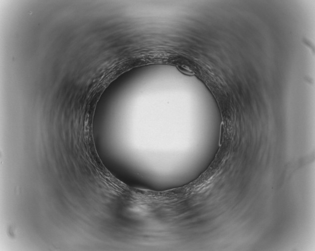 X0000094440818200711081023