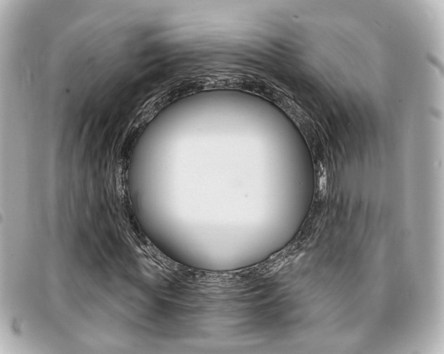 X0000094440819200711081023