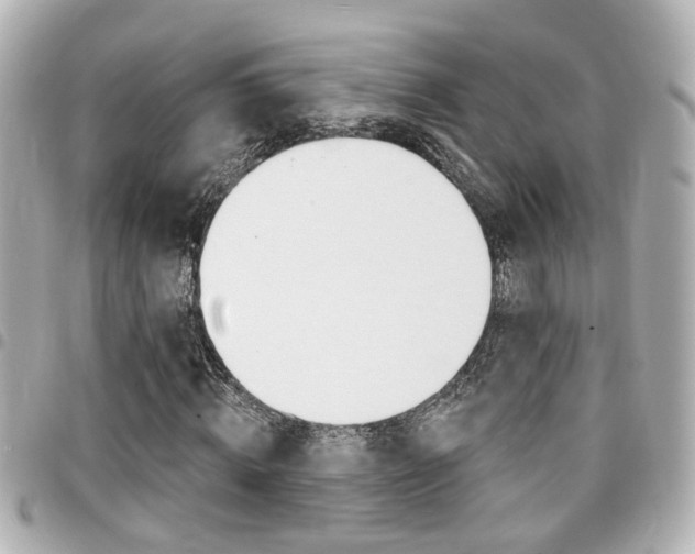 X0000094440820200711081023