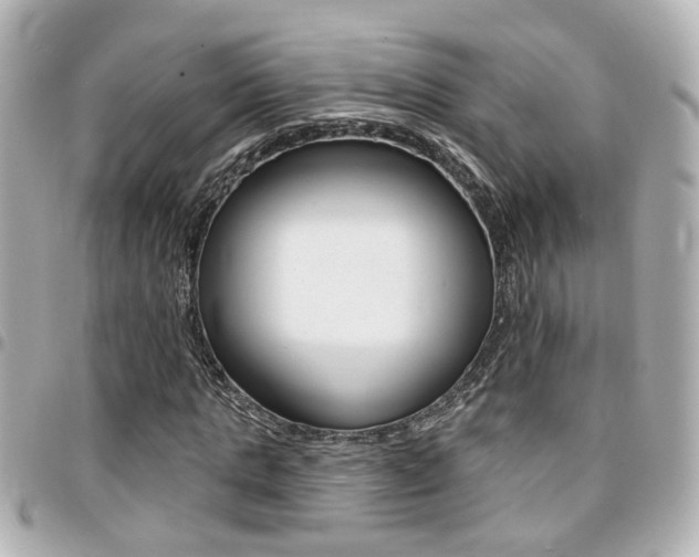X0000094440821200711081023