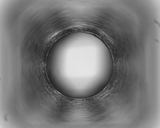 X0000094440822200711081023