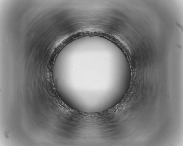 X0000094440823200711081023