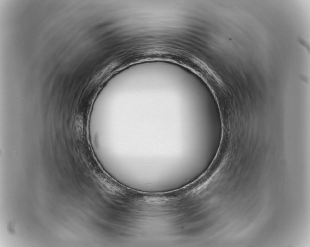X0000094440825200711081023