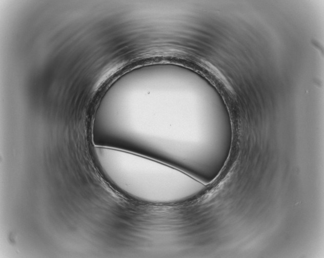 X0000094440826200711081023