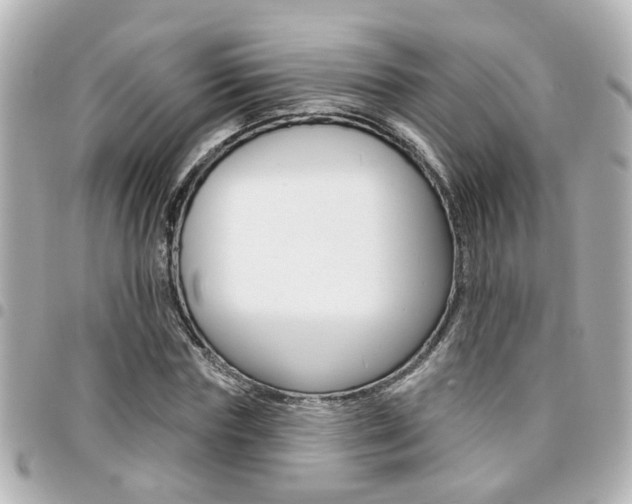 X0000094440827200711081023