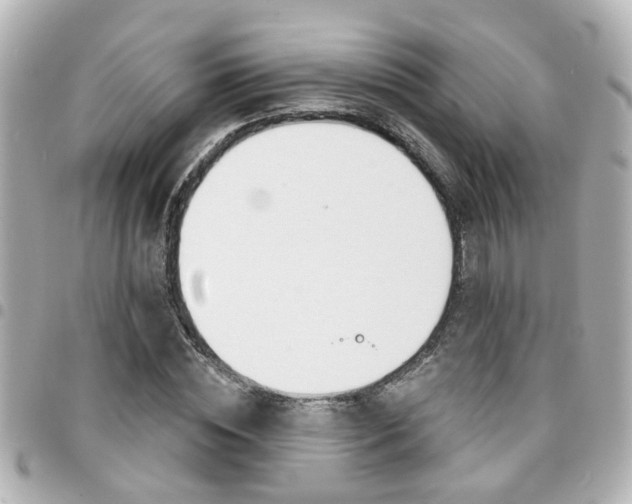 X0000094440828200711081023