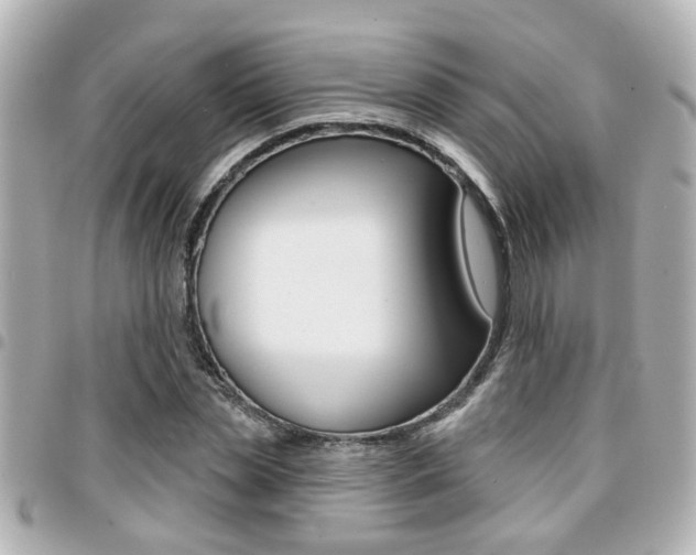 X0000094440829200711081023