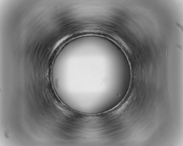 X0000094440830200711081023