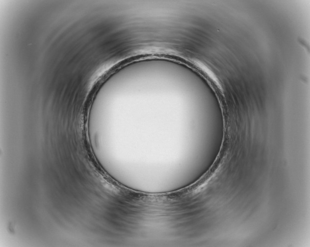 X0000094440831200711081023
