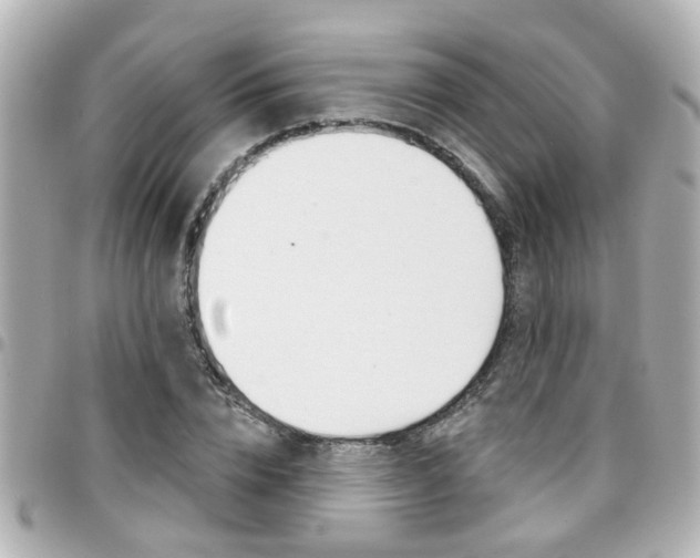 X0000094440832200711081023