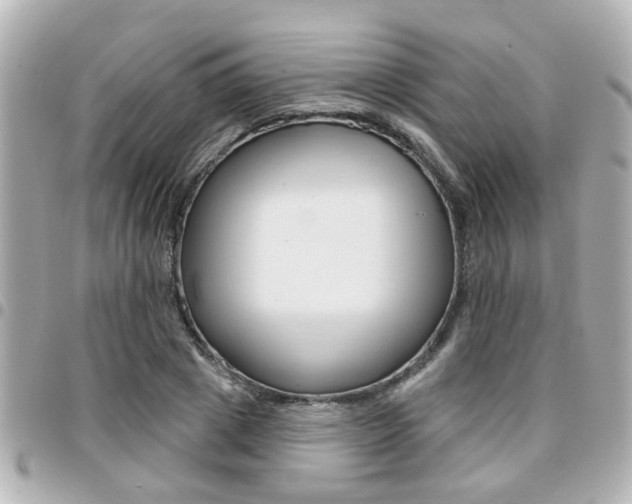 X0000094440833200711081023