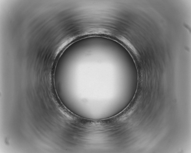 X0000094440834200711081023