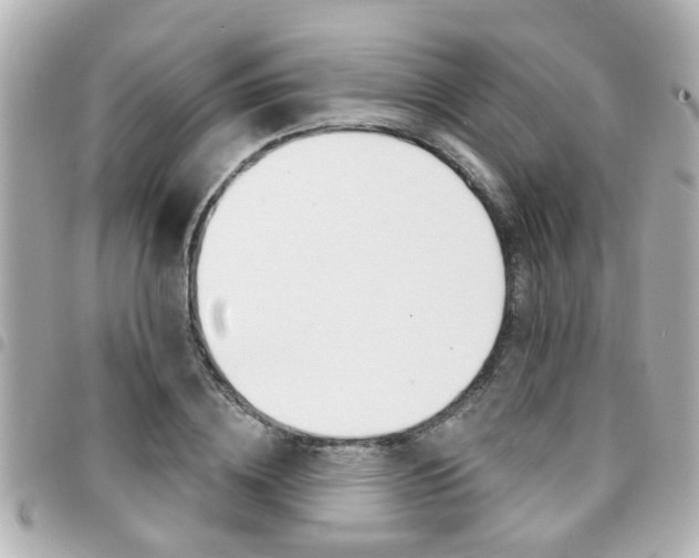 X0000094440836200711081023