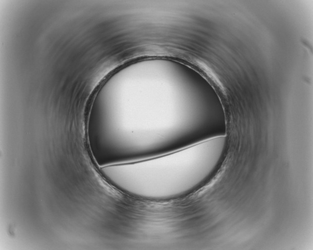 X0000094440837200711081023