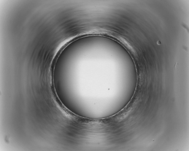 X0000094440838200711081023