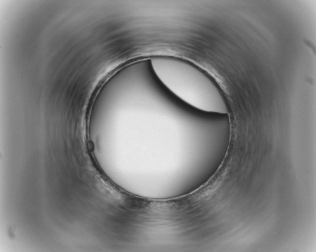 X0000094440840200711081023
