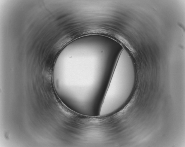 X0000094440841200711081023