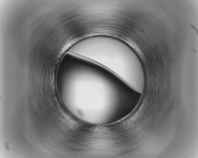 X0000094440842200711081023