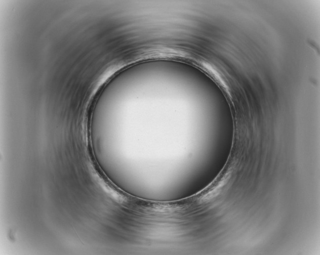 X0000094440843200711081024