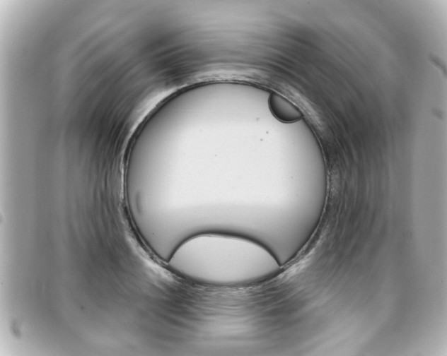 X0000094440844200711081024