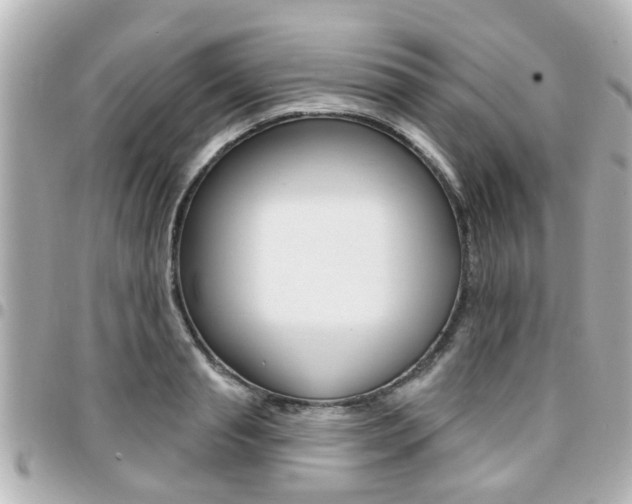 X0000094440845200711081024