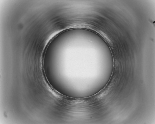 X0000094440846200711081024