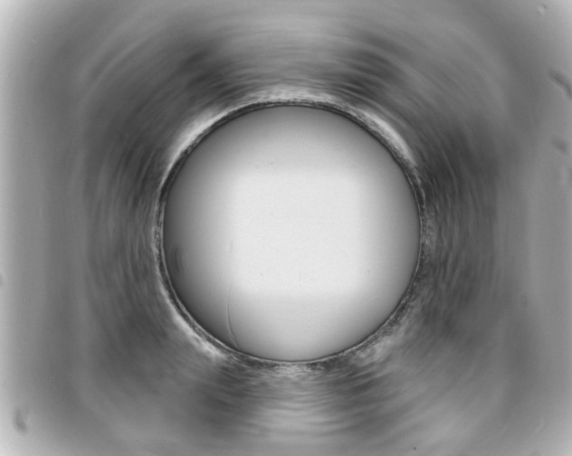 X0000094440847200711081024