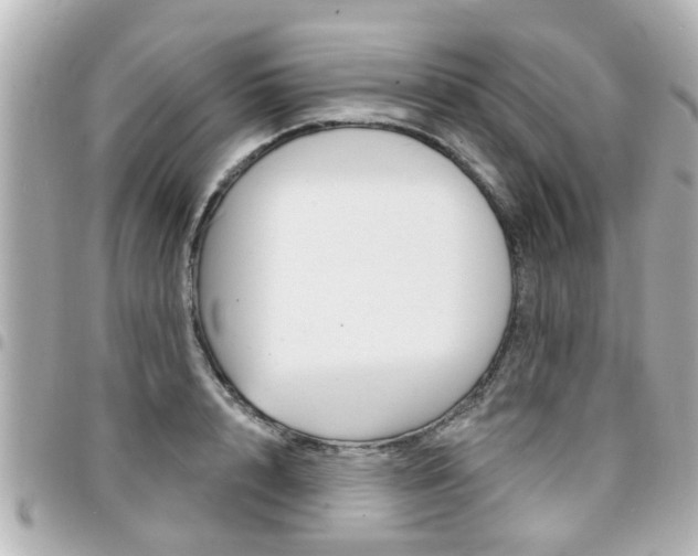 X0000094440848200711081024