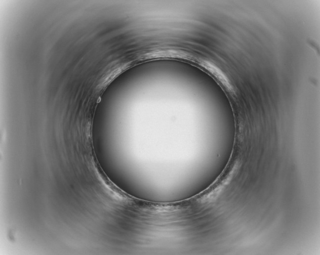 X0000094440849200711081024