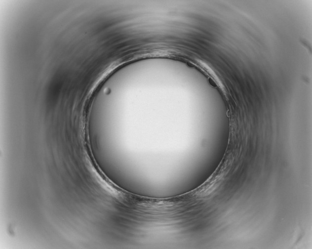 X0000094440851200711081024