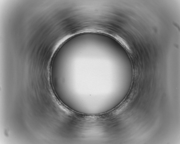 X0000094440854200711081024