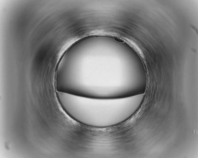 X0000094440855200711081024