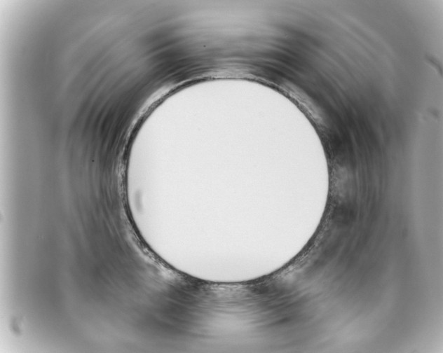 X0000094440856200711081024