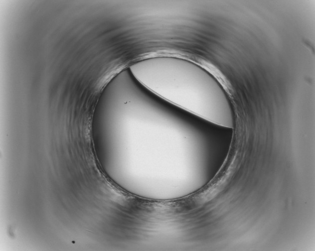 X0000094440857200711081024
