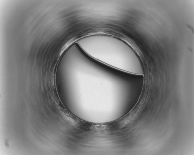 X0000094440858200711081024