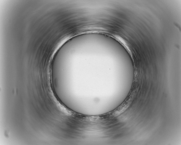 X0000094440859200711081024