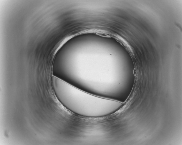 X0000094440860200711081024