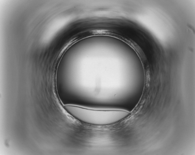 X0000094440861200711081024