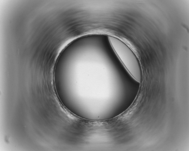 X0000094440862200711081024