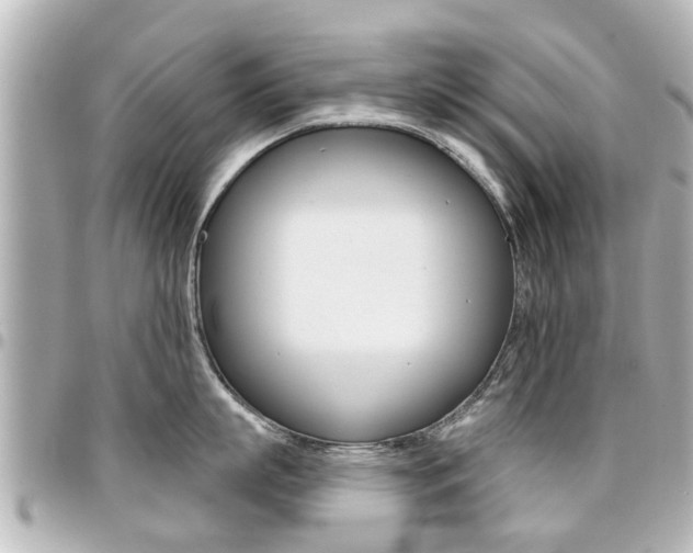 X0000094440863200711081024