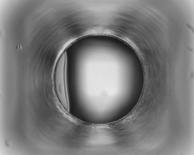 X0000094440864200711081024