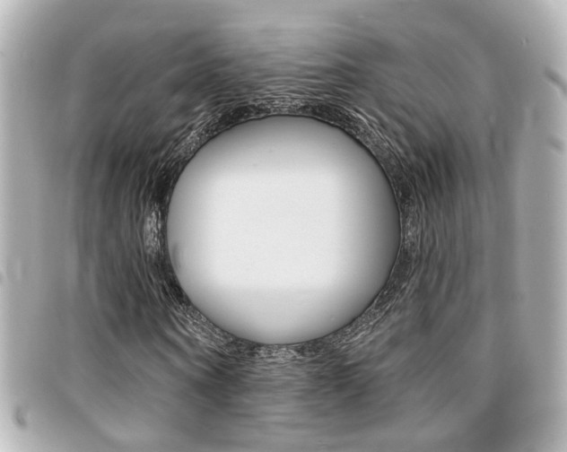 X0000094440866200711081023