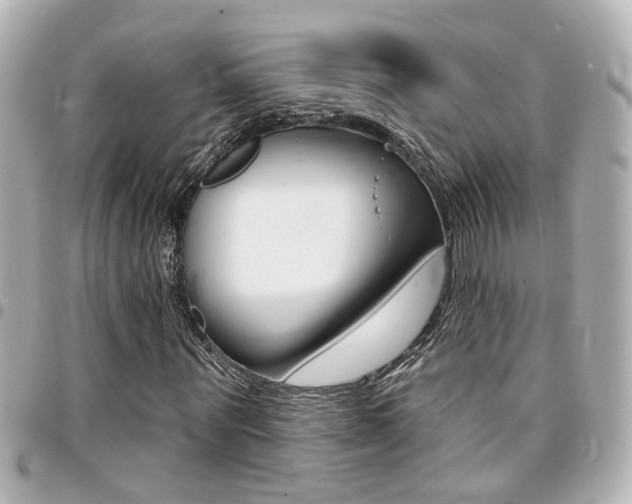 X0000094440867200711081023