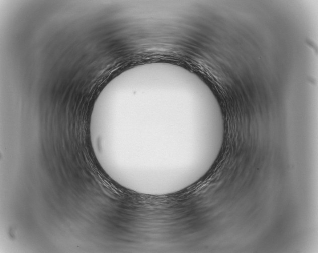 X0000094440868200711081023