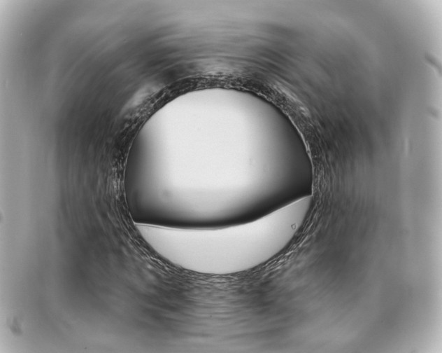 X0000094440869200711081023