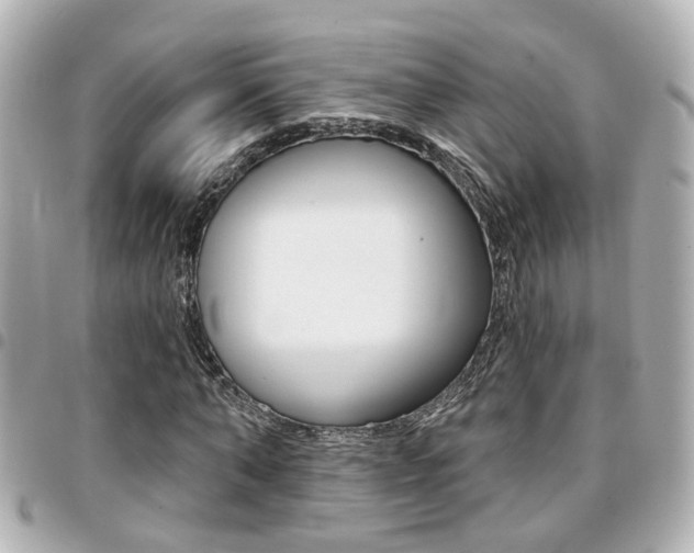 X0000094440870200711081023