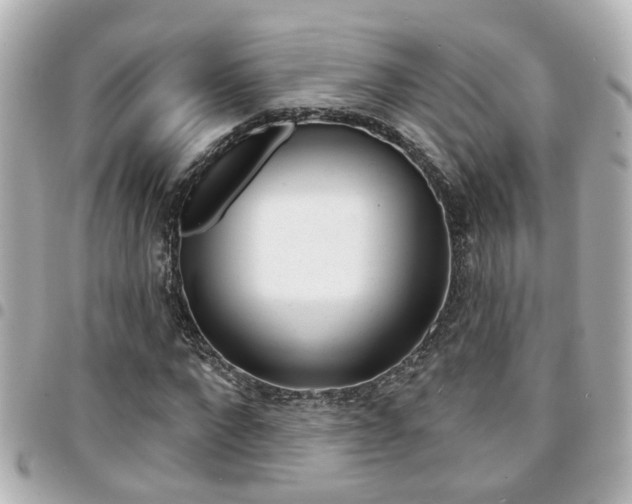 X0000094440872200711081023