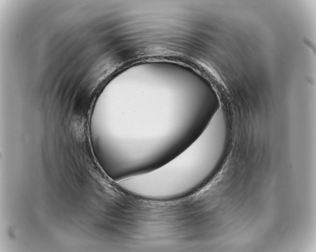 X0000094440873200711081023