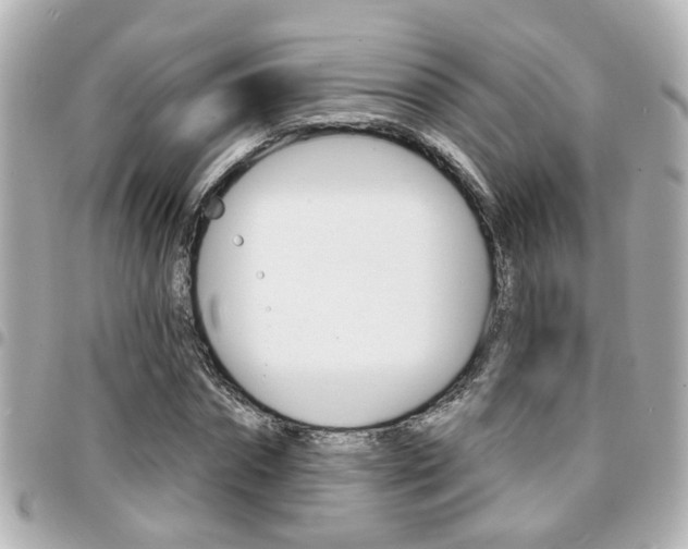 X0000094440874200711081023